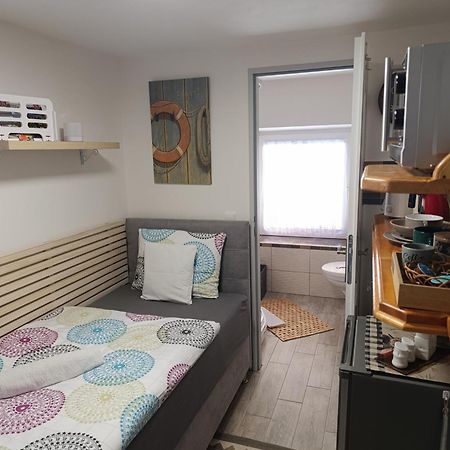U Bocmana S Vyhledem Na Zamek A Labe Apartment Дечин Екстериор снимка