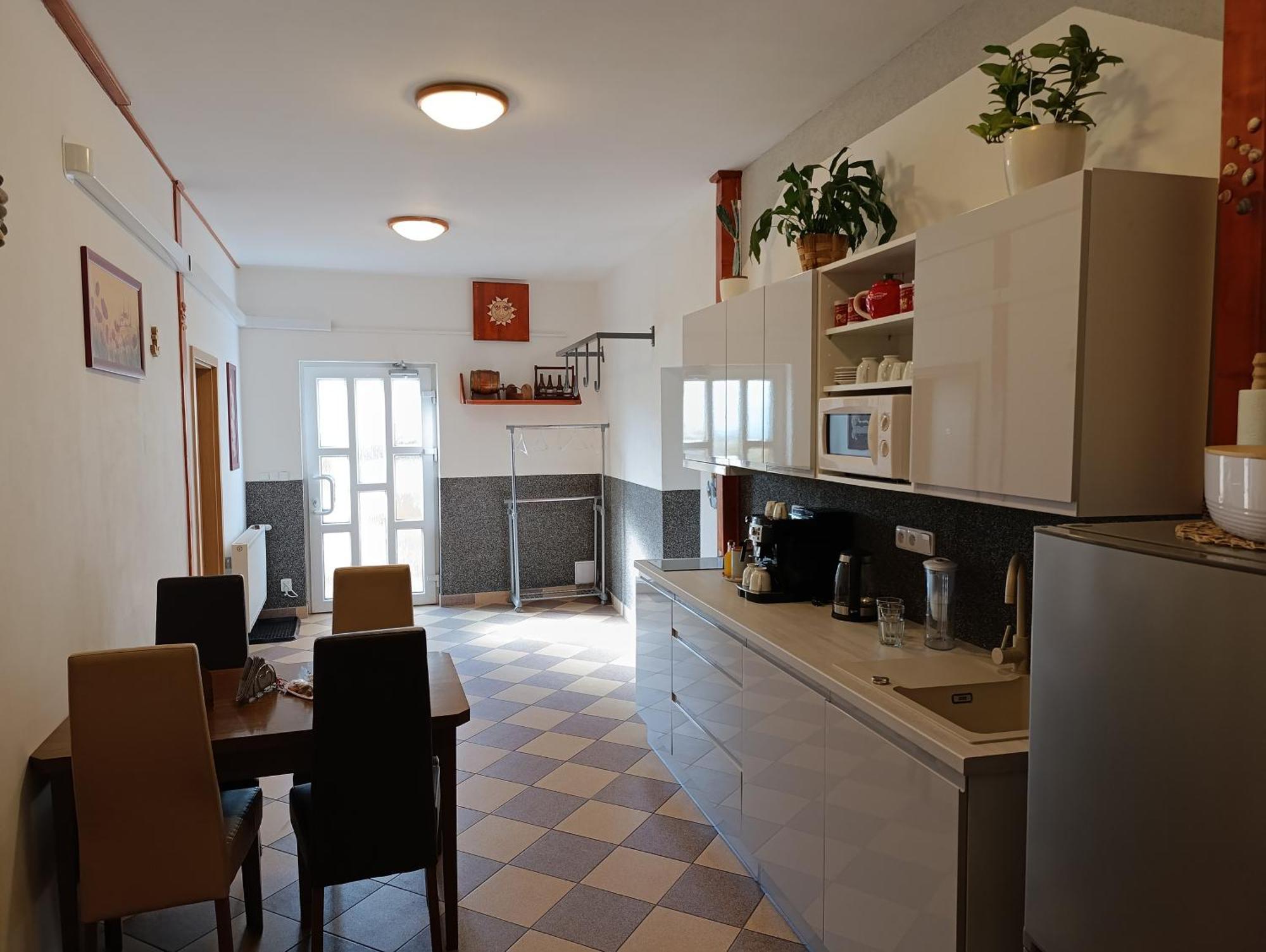 U Bocmana S Vyhledem Na Zamek A Labe Apartment Дечин Екстериор снимка